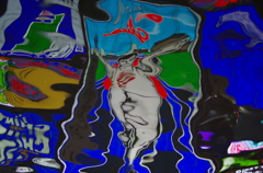 IMGP0487