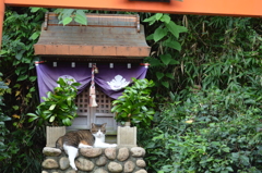 2012.9.22 清荒神018