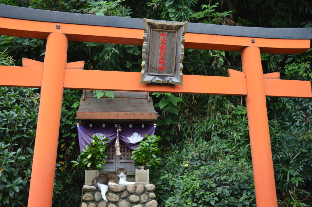 2012.9.22 清荒神017