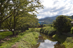 長閑な時の流れ