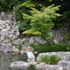 2012.9.22 清荒神005