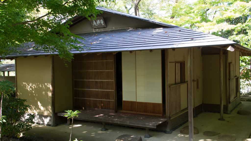 DSC02620-2