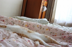 のび