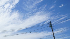 DSC00618