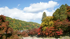 香嵐渓