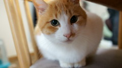 DSC04731