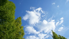 すがすがしい空２