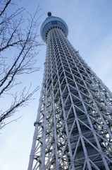 スカイツリー