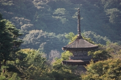 京都　清水