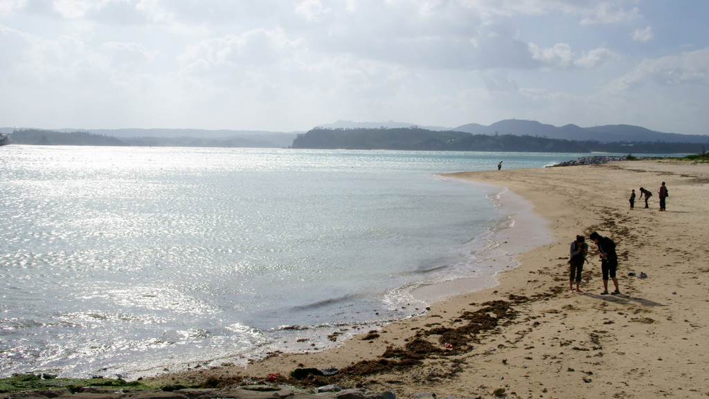 輝く海