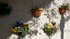 DSC08431