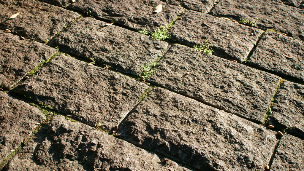 DSC00489