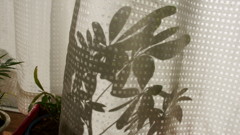 影