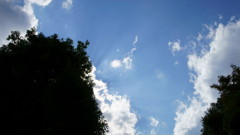 空という美術品