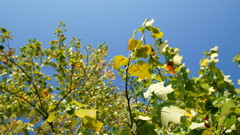 いきいきしてます