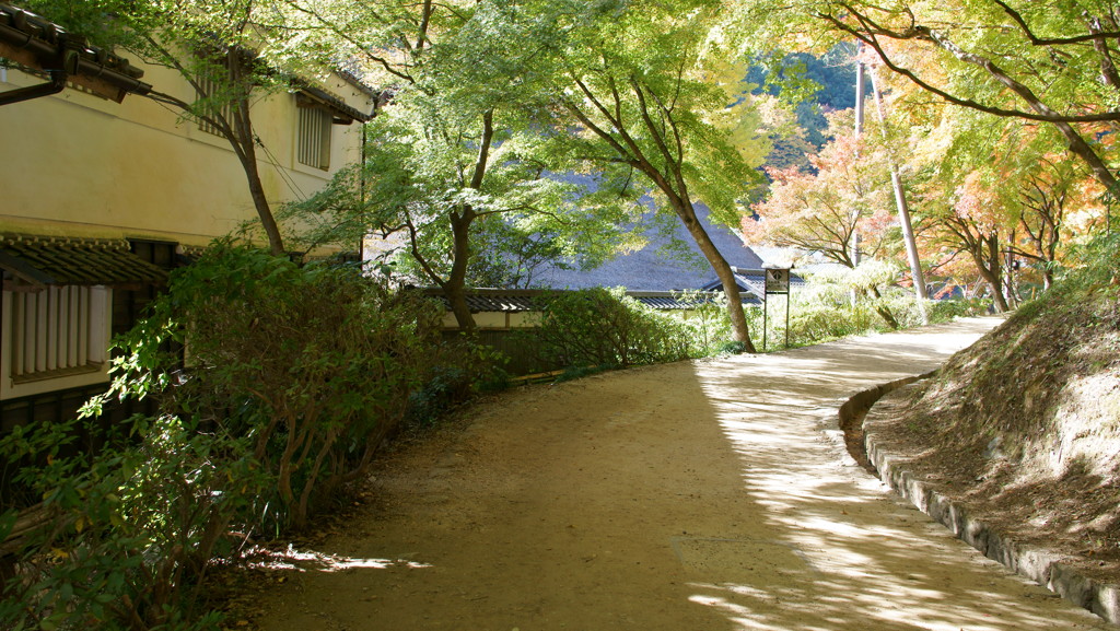 香嵐渓
