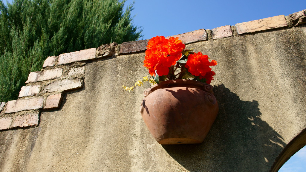 DSC02361