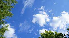 すがすがしい空