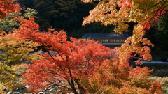 香嵐渓