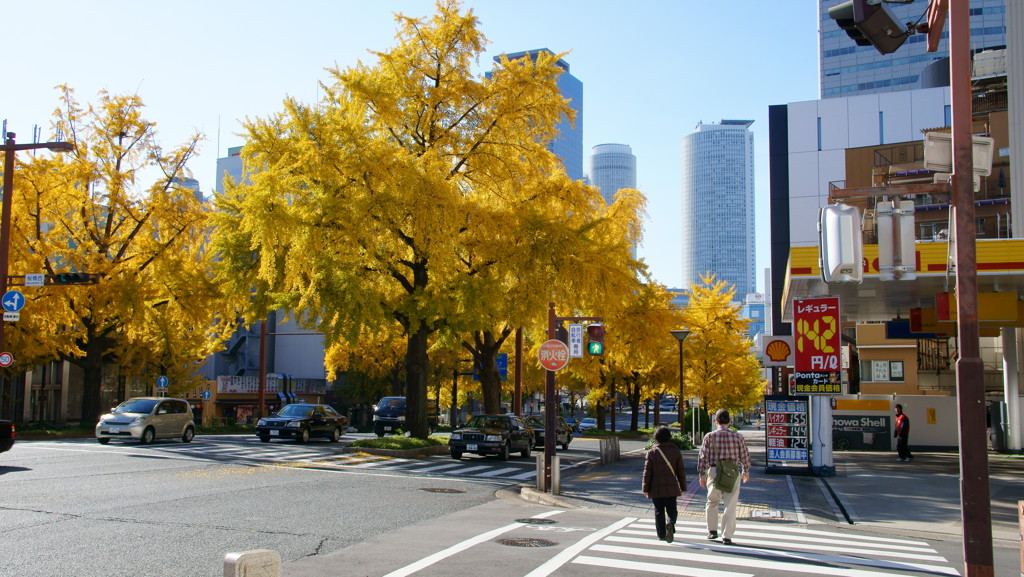 名古屋の景観
