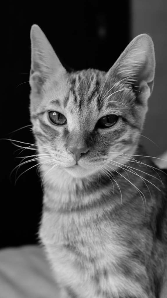 DSC05855-2