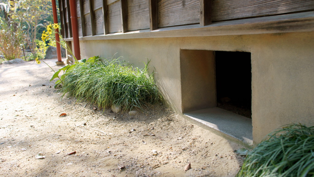 トトロが出てきそう！