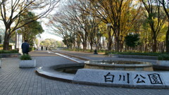 名古屋市白川公園