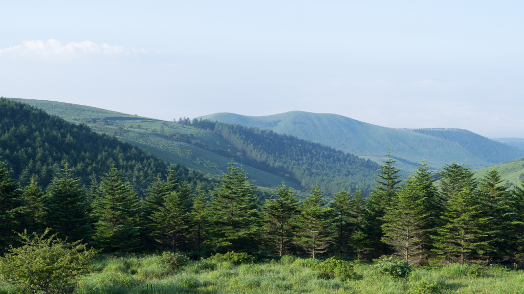 霧ヶ峰高原