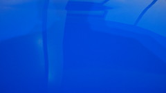 車体の色