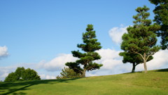 DSC00509