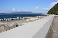 海辺