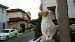 何か見つけた？