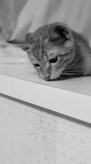 DSC02727-2
