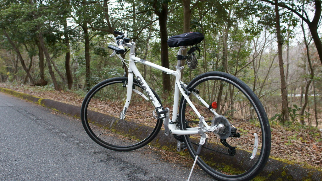 GIANT ESCAPE AIR