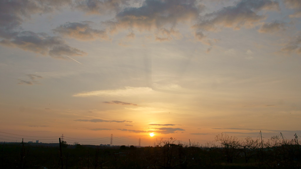 夕暮