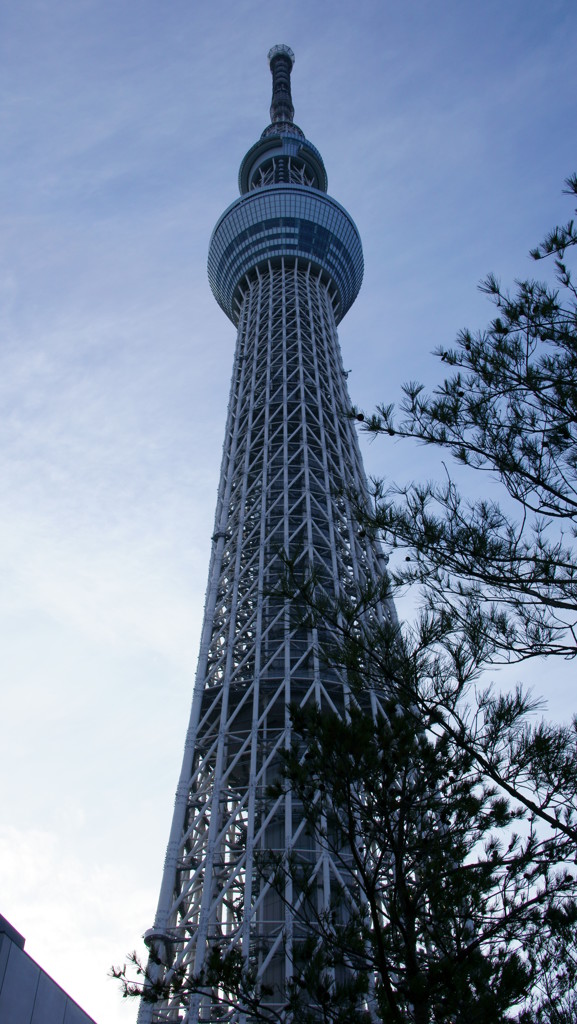 スカイツリー