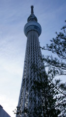 スカイツリー