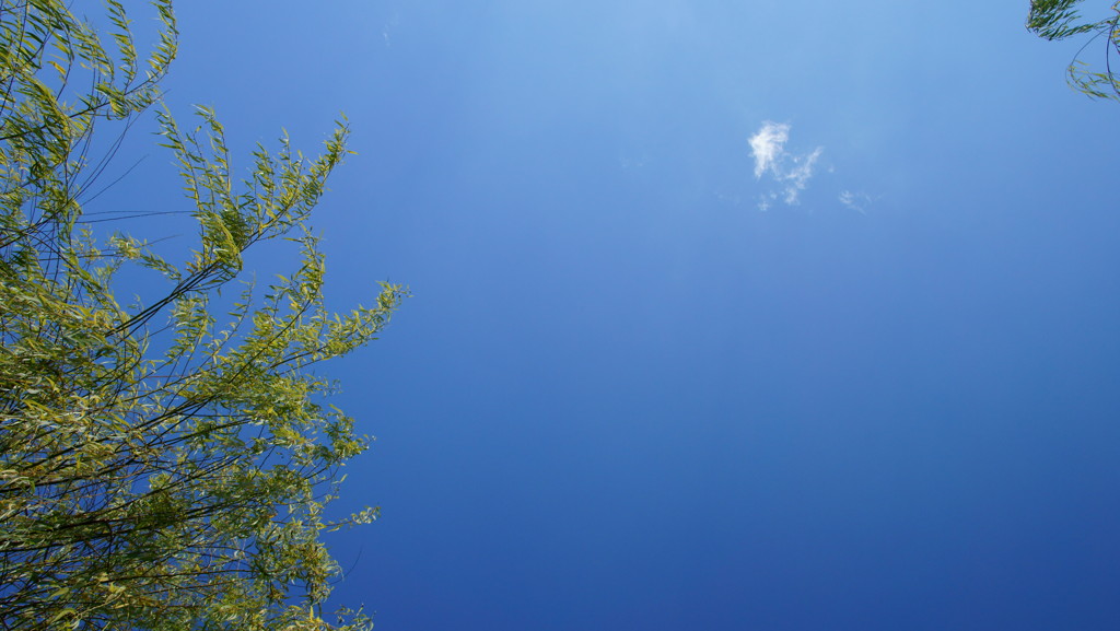 深い空