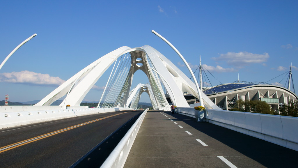 トヨタスタジアムと豊田大橋