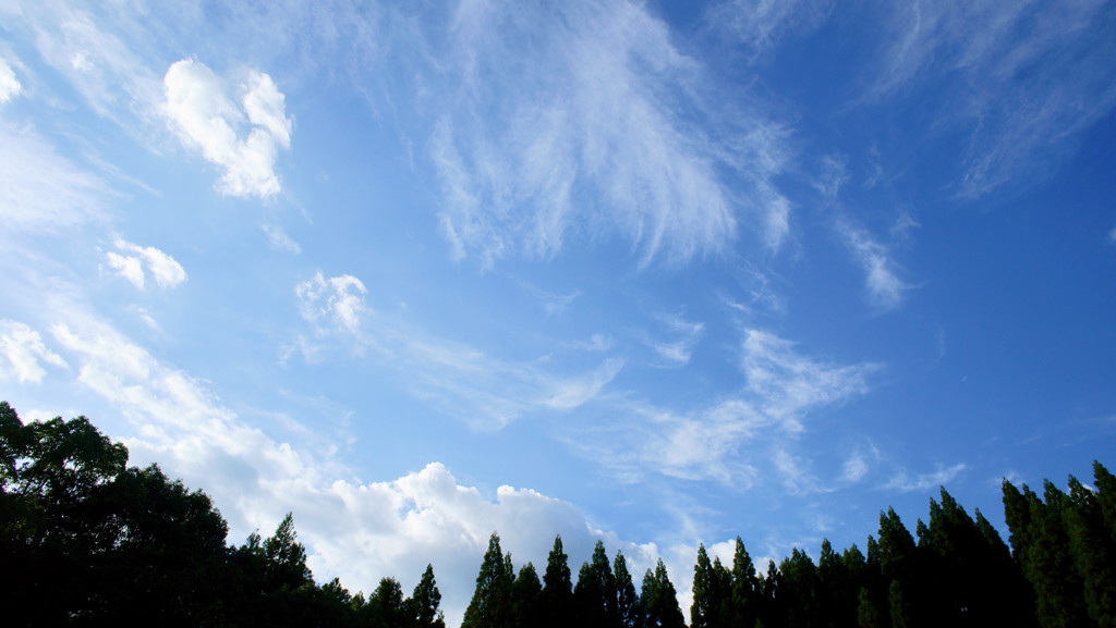 DSC00682
