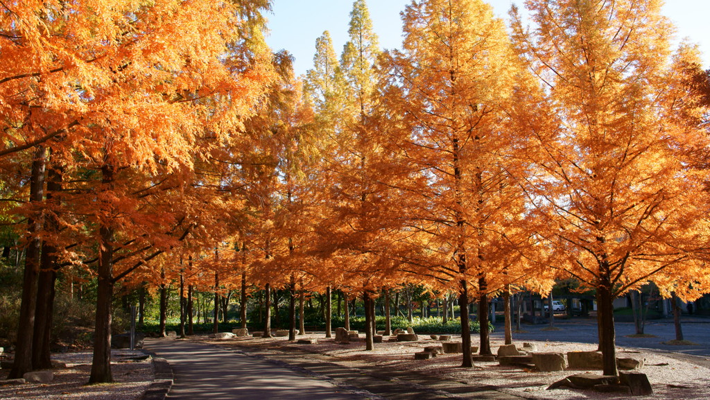 愛知県豊田市緑化センターにて