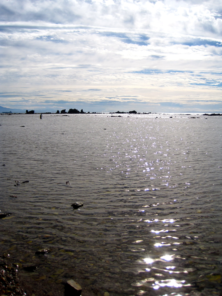 海に浮かぶ岩