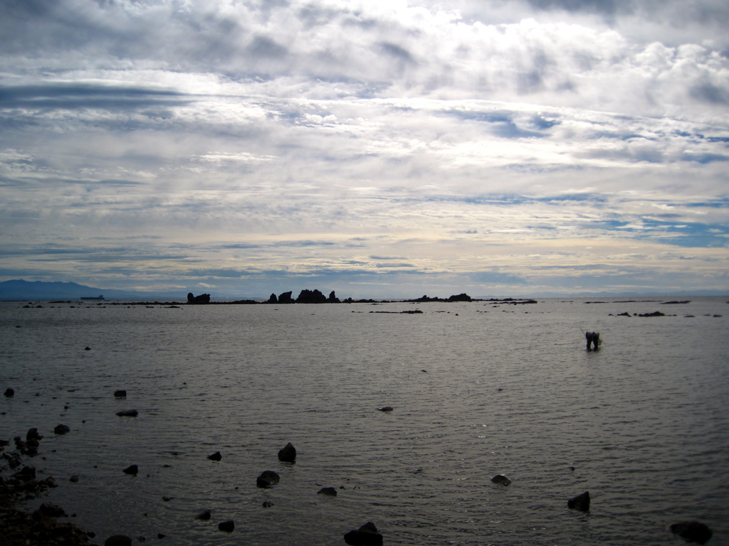 海の中の岩