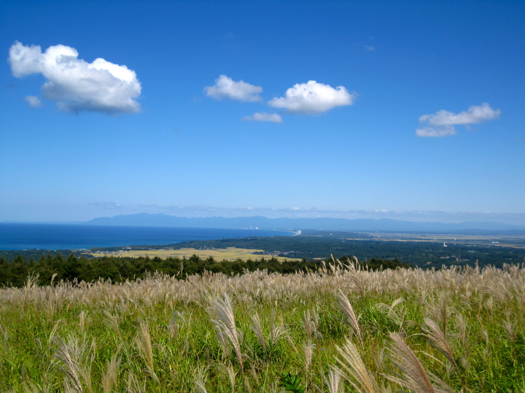 火口から北を望む