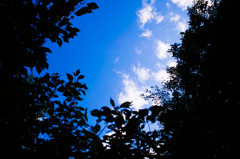 SDIM0488