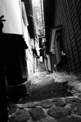 SDIM0538