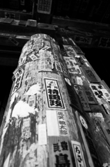 SDIM1109