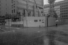 SDIM0731