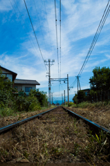 SDIM0893