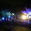 DSC00478